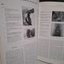 SALE!  Irish Arts Review Yearbook 1993 Image 6