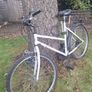 Ladies/girls bike Image 2
