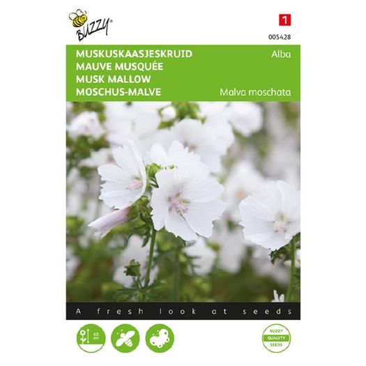 Buzzy Musk Mallow Alba Seeds 0.5g | Sow in July - August
