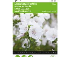 Buzzy Musk Mallow Alba Seeds 0.5g | Sow in July - August