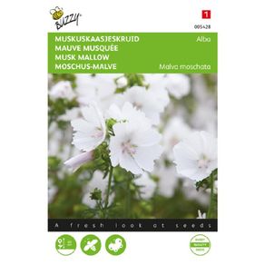 Buzzy Musk Mallow Alba Seeds 0.5g | Sow in July - August