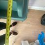 changing table Image 5