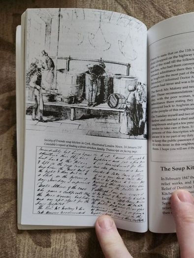 The Irish Famine. An Illustrated History By Helen Litton. First Edition Paperback In Good Condition.