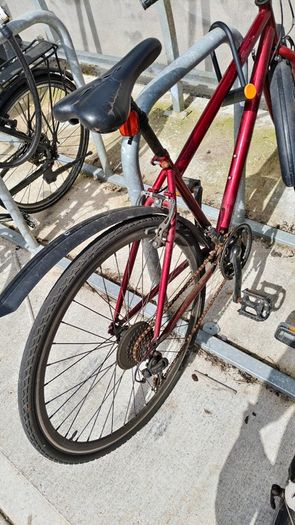 Cycle / Bike