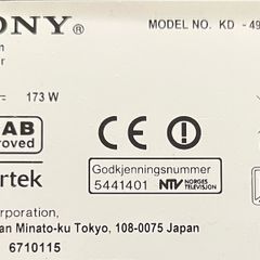Sony 49" TV