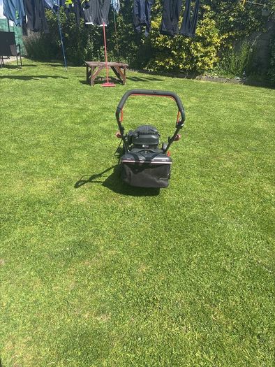 lawn