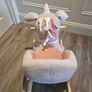 Rocking Horse Image 3