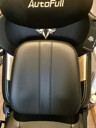 (READ AD) AutoFull M6 Ultra 2.0 Ergonomic Gaming Chair with Warranty