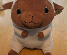 Teddy for sale with tag