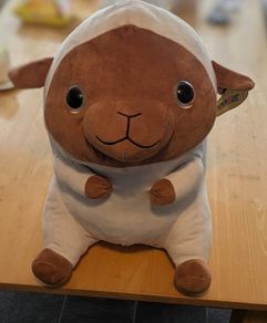 Teddy for sale with tag
