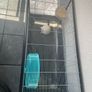 hamster cage Image 2