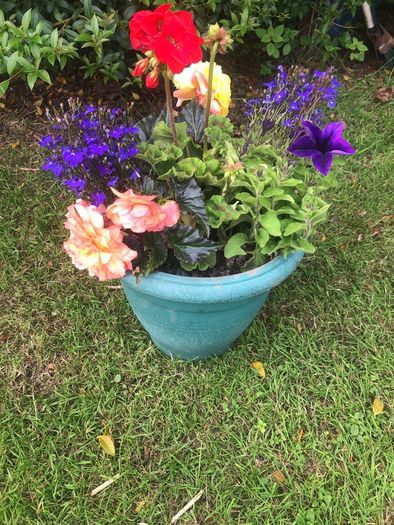 planted pot