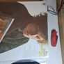 Vinyl,Bob Dyland greatest hits.Irish pressing Image 2