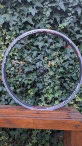 Campagnolo Zonda rear wheel - damaged