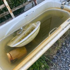 bath suitable cattle drinkers