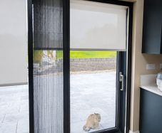 flyscreens