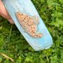 Hand building sculptural  artist Olena Dvoretska Ceramic Bowl with Shell Motif Image 3