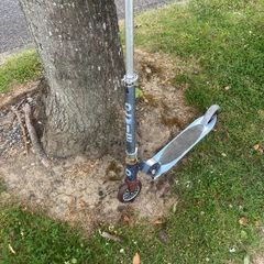 Micro Scooter