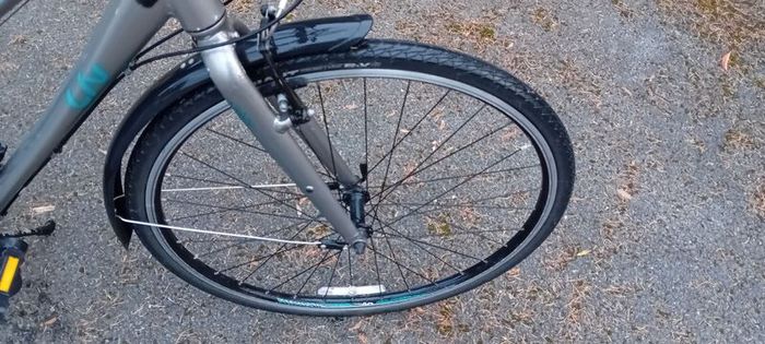 Ladies Bicycle Giant