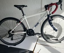 Frog road 67 (24 inch wheel) stars and stripes edition