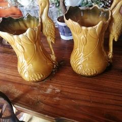 vases
