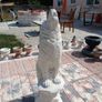 garden Image 2