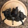 Antique Indian Brass bindi box with peacock finial Image 8