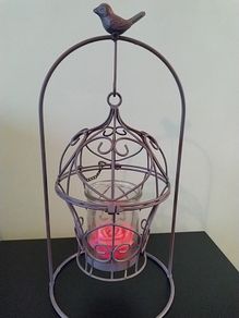 Plant/Candle Holder