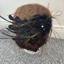 Fascinator Image 3