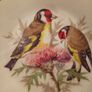 vintage Arklow display wall plate Image 4