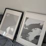 Frames for free Image 2