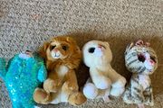 Beanie boos x 4