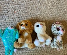 Beanie boos x 4