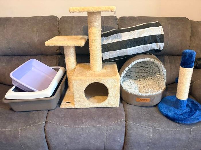 Cat / Kitten Supply Bundle (Scratching Trees, Bed, Litter Trays, Tunnel)