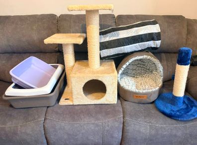 Cat / Kitten Supply Bundle (Scratching Trees, Bed, Litter Trays, Tunnel)