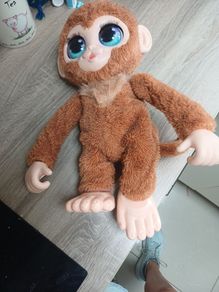 peanut the monkey