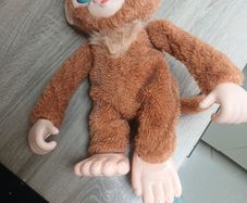 peanut the monkey