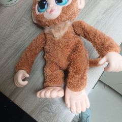 peanut the monkey