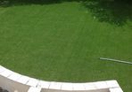 Artifical Grass