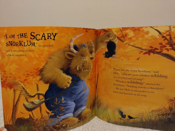 Wonderful Collection Of Children,s Story Books