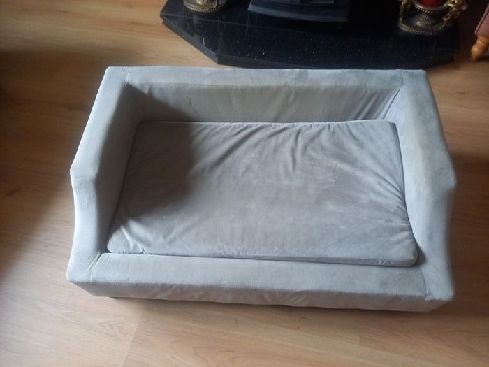 dog bed