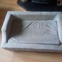 dog bed