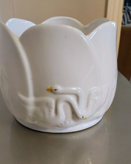 White Flower pot