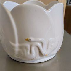 White Flower pot