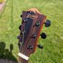 Bromo BAT1NL Acoustic Guitar Image 4