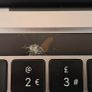Macbook Pro M1 (Read Description) Image 4
