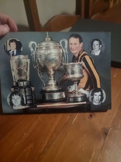 James Stephens GAA Club: 100 Years of the Village, 1887-1987