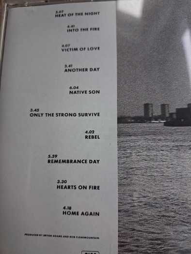 Bryan Adams - Into the Fire