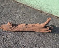 drift wood