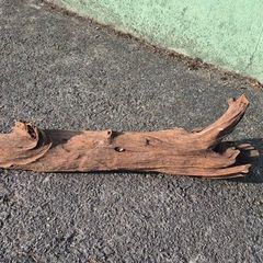 drift wood